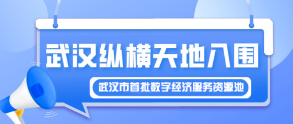 武汉纵横天地入围武汉市首批数字经济服务资源池项目